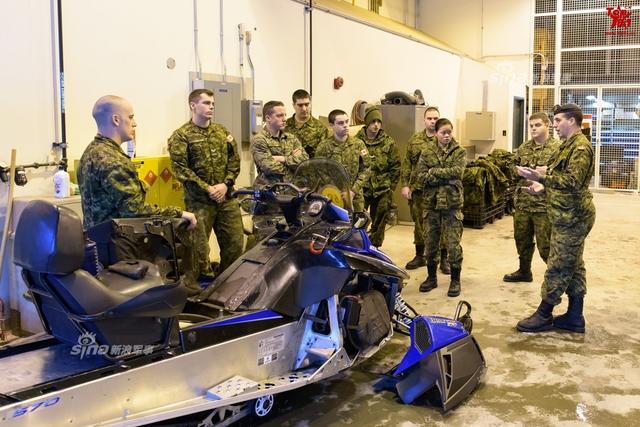 草莓女兵,坚韧与甜美的力量交织,草莓女兵,坚韧与甜美的力量融合展现