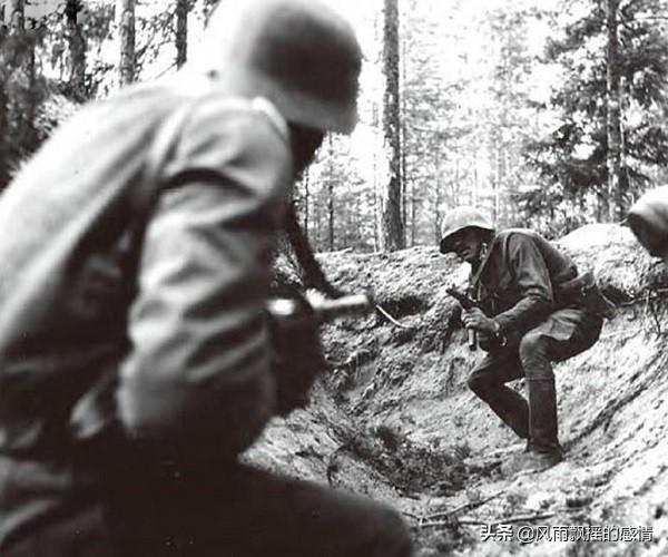 虎式坦克的德语表达及其背后的故事，虎式坦克的德语表达与背后故事揭秘