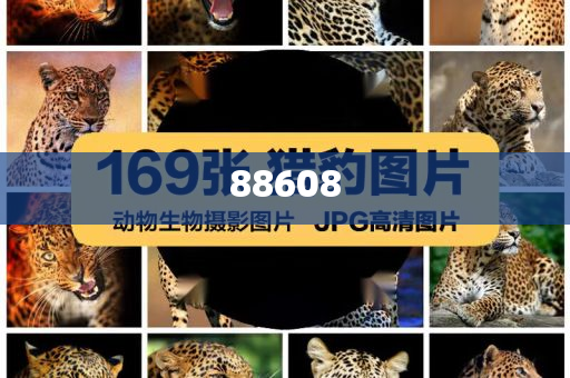迈向信息透明化，2025正版资料的免费公开新时代，迈向信息透明化，开启正版资料免费公开新时代（2025）