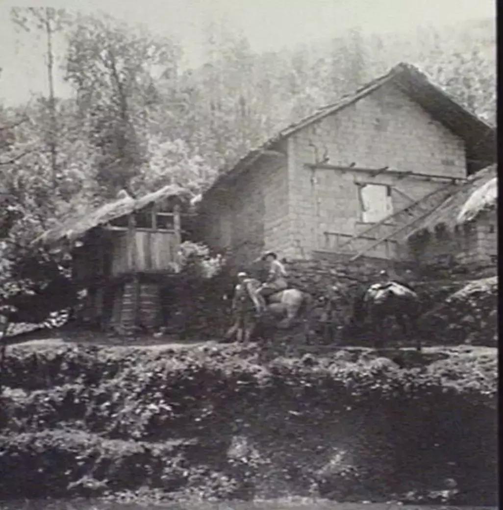 裤裆里藏雷能否实现,现实与幻想的交错,裤裆藏雷,现实与幻想的边缘探索