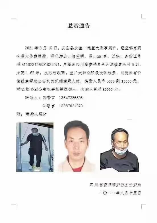 今天有什么重大的新闻,今日重大新闻概述