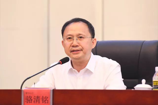 青塔网，连接未来的数字桥梁，青塔网，数字桥梁连接未来世界