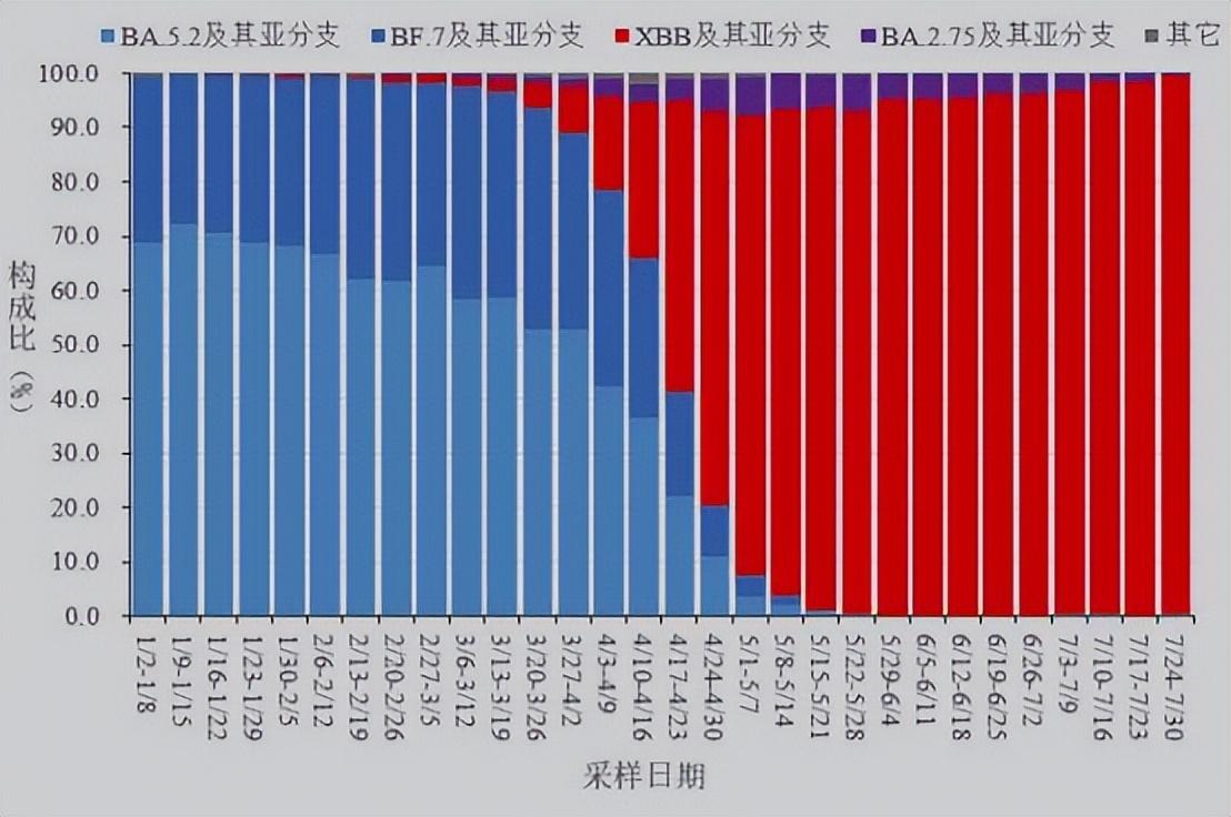 最新消息冠状病毒变异,全球科研合作应对挑战,全球科研合作应对冠状病毒变异挑战的最新消息