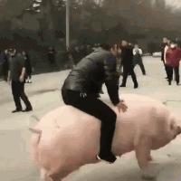 六图库大全图片彩图,展望未来的视觉盛宴(2025年),六图库大全彩图展望,未来视觉盛宴(2025年展望)