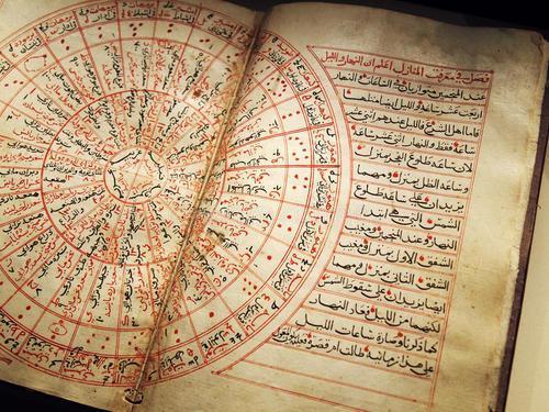 揭秘刘伯温四不像与神秘的必中一肖图,刘伯温四不像与必中一肖图揭秘,探寻神秘预言背后的真相