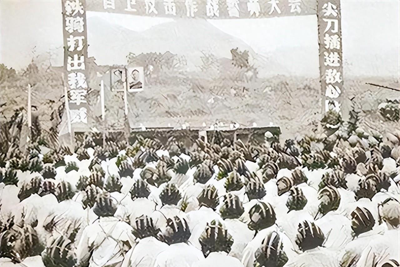 越南女性的价值与租赁,一个月的费用探讨,越南女性价值与租赁费用探讨,每月费用揭秘