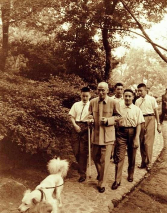 两岸谈判迎来关键时刻,历史机遇与挑战并存,两岸谈判进入关键节点,历史机遇与挑战交汇