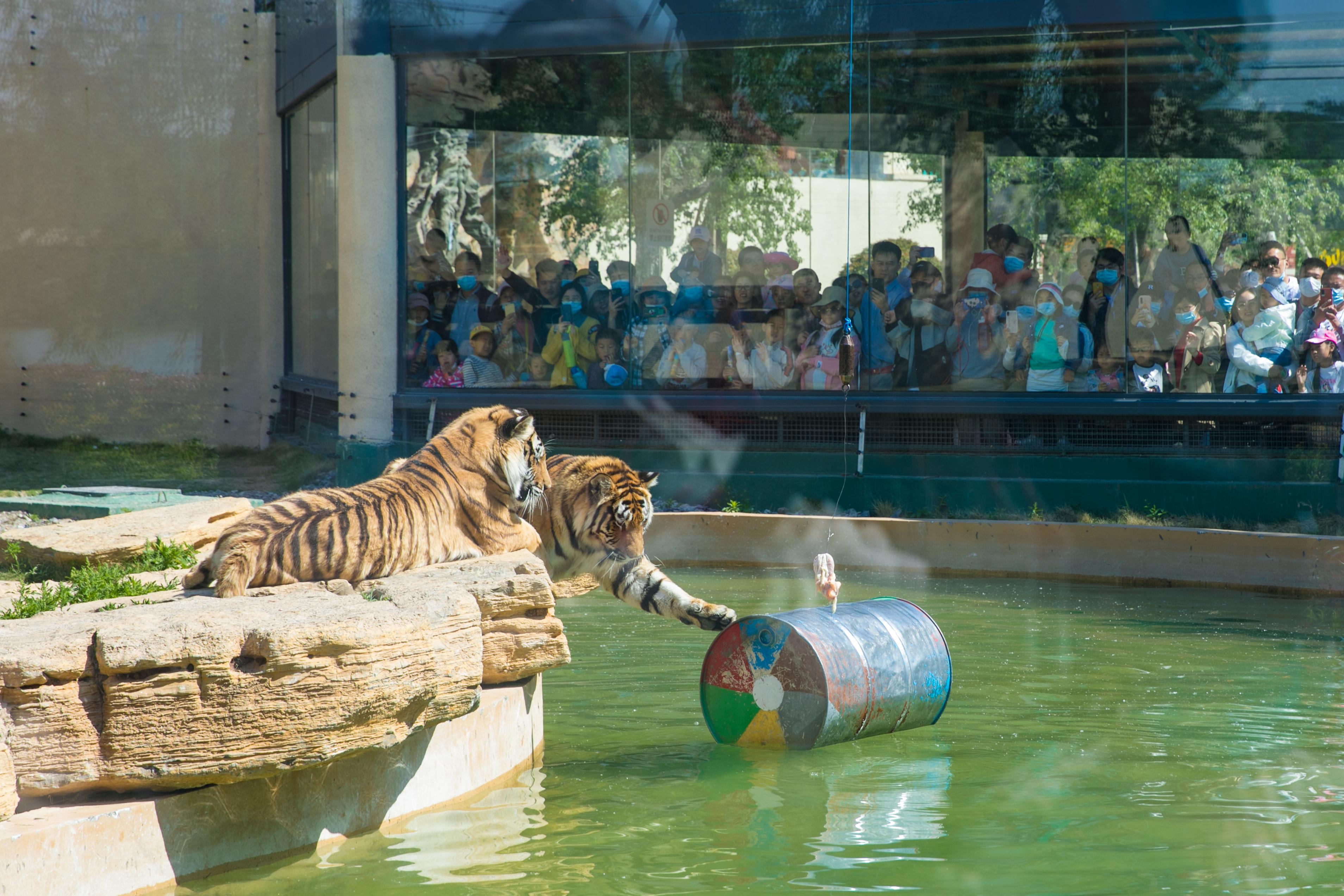 最新消息,五一假期延长,全民共享更长的休闲时光,五一假期延长,全民共享休闲时光延长福利!