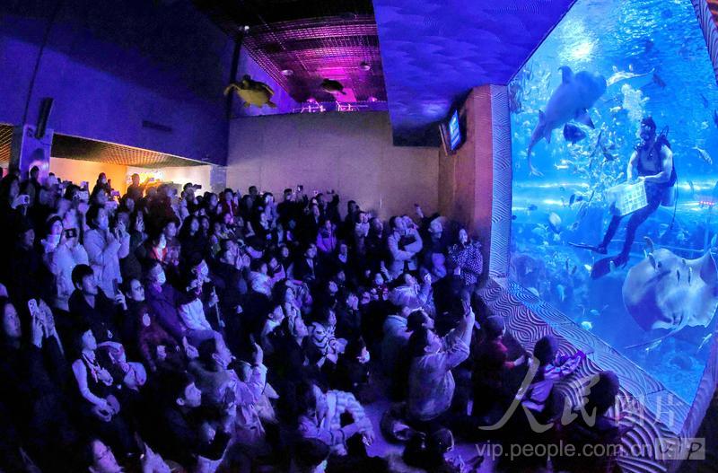 新澳2025今晚开奖结果揭晓，期待与惊喜交织的时刻，新澳2025今晚开奖结果揭晓，期待与惊喜的时刻来临