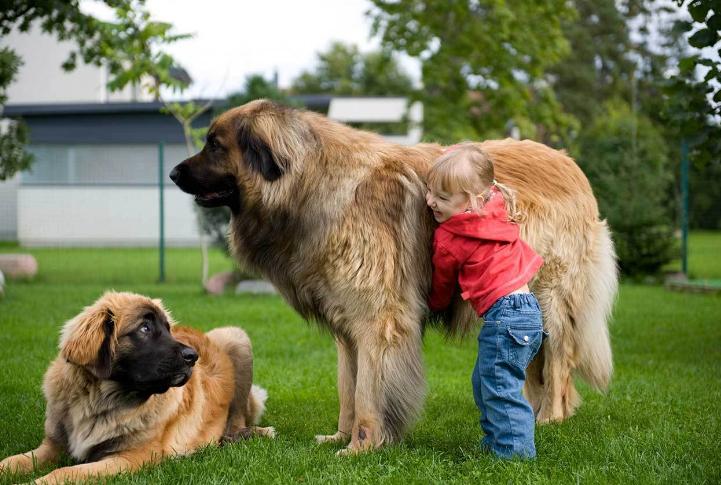 俄动员兵的平均寿命,揭示与探讨,俄动员兵的平均寿命,揭示与探讨其影响因素
