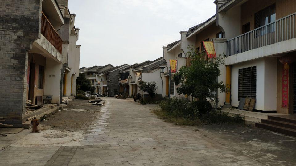 天涯论坛的兴起与变迁，探究其背后的故事与争议，天涯论坛的崛起与变迁，背后的故事与争议探究