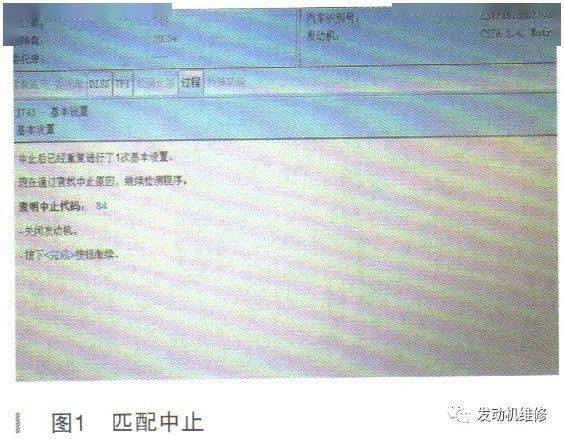 揭秘码料的含义及其在各个领域的应用,揭秘码料含义及应用领域广泛解析
