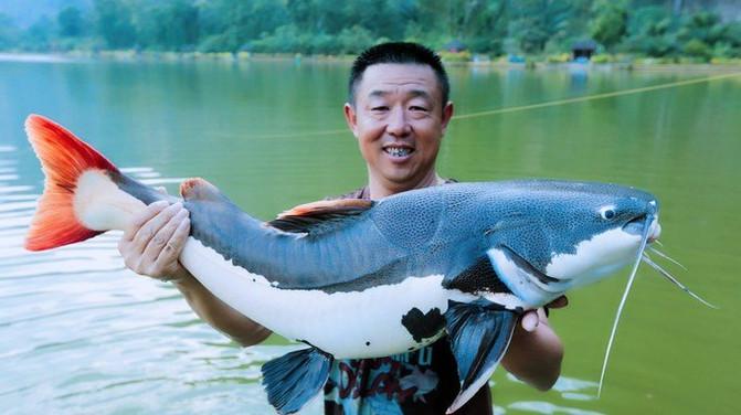 军舰的颜色,海洋上的独特标识,军舰颜色,海洋上的独特标识