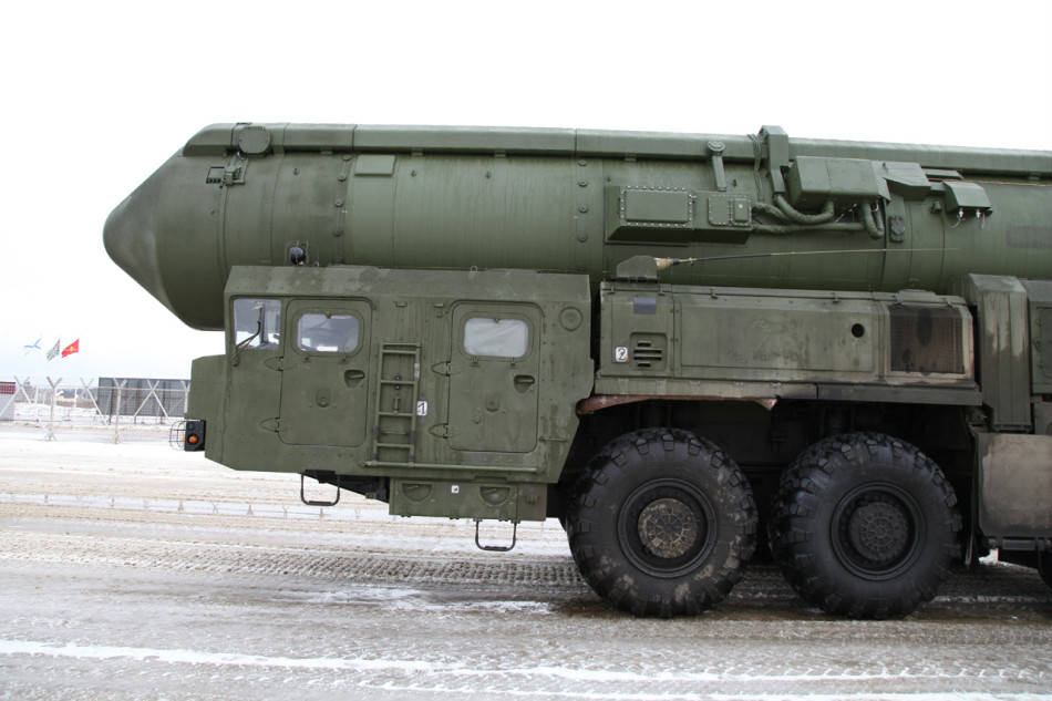 白杨M的长度,探究与解析,白杨M长度解析与探究