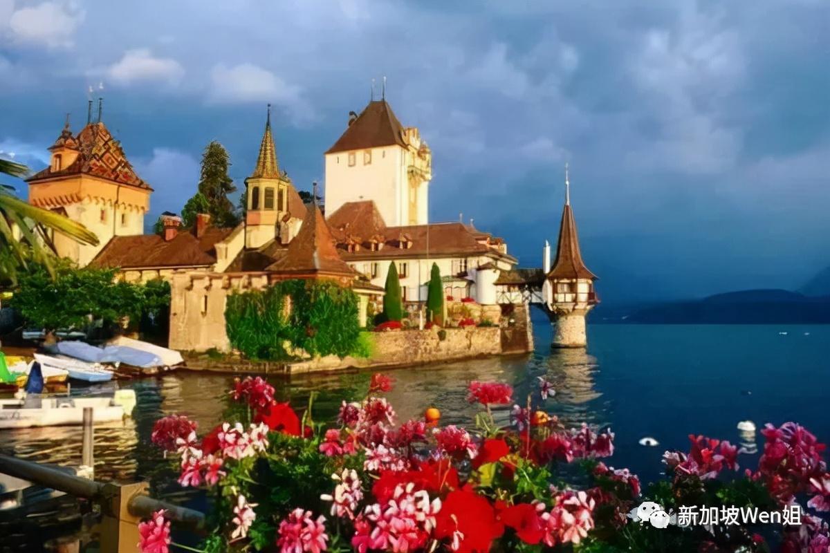 中国空军军徽图片高清展示,荣耀与力量之象征,中国空军军徽高清图片展示,荣耀与力量的象征