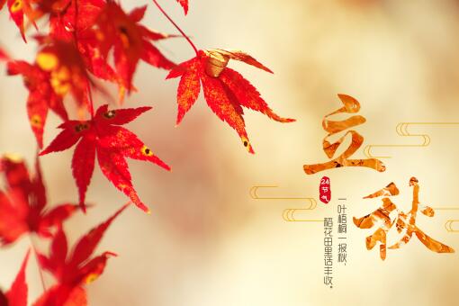 今日立秋时分,秋意渐浓,今日立秋,秋意渐浓时节来临