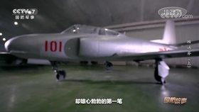 歼八之父——顾诵芬,顾诵芬,歼八之父的传奇故事