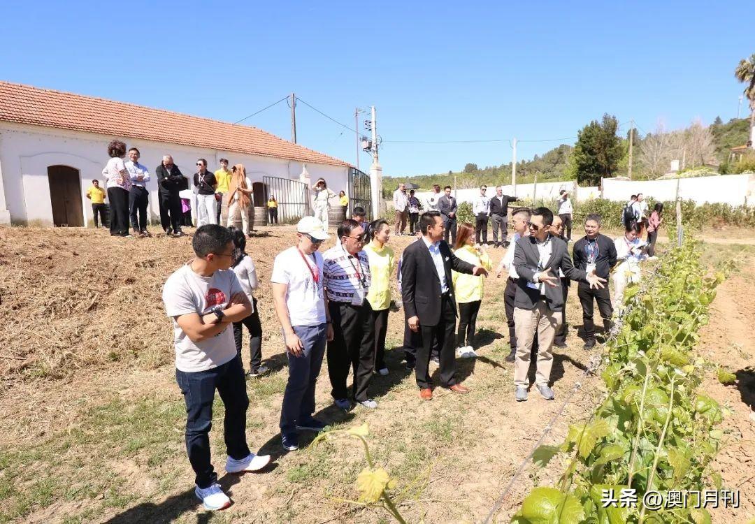 最新澳门六合开彩，探索与解析，澳门六合开彩最新解析与探索