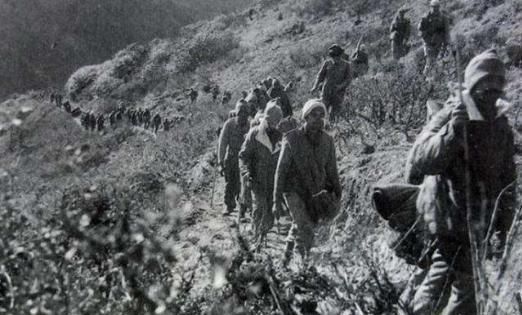 印军现役装甲车,力量与技术的完美结合,印军现役装甲车,力量与技术的巅峰融合