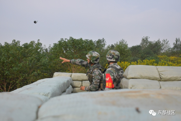 东部战区部队番号,揭示现代化军事力量的象征,东部战区部队番号揭示现代化军事力量的崛起