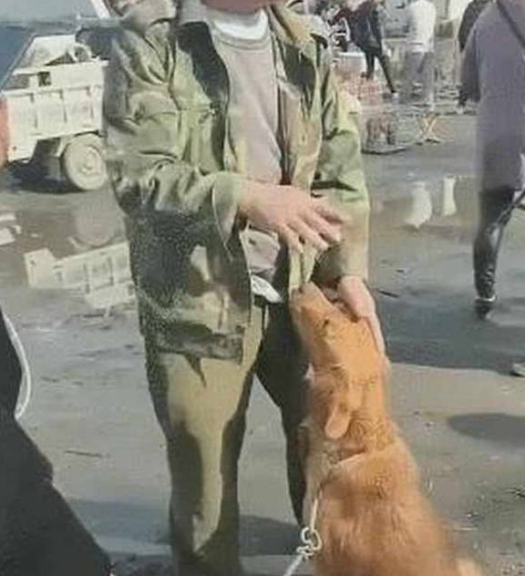 探讨迷彩服的销售与合法性边界,迷彩服销售与合法性边界探讨