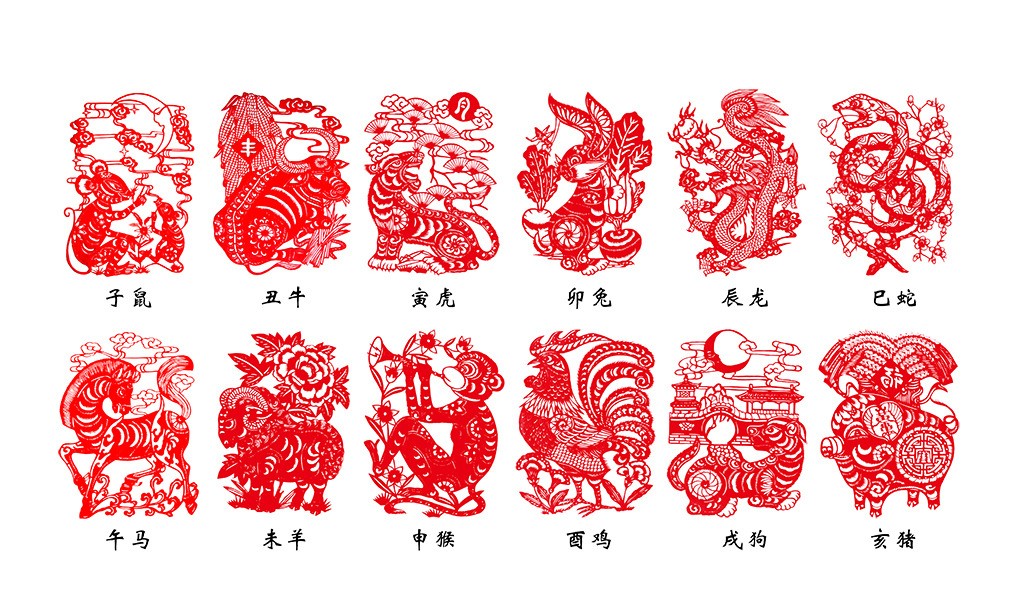 关于肖十二码与生肖的探讨,肖十二码与生肖文化深度探讨