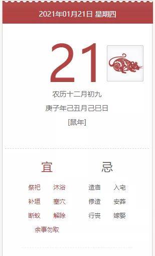 关于肖十二码与生肖的探讨,肖十二码与生肖文化深度探讨