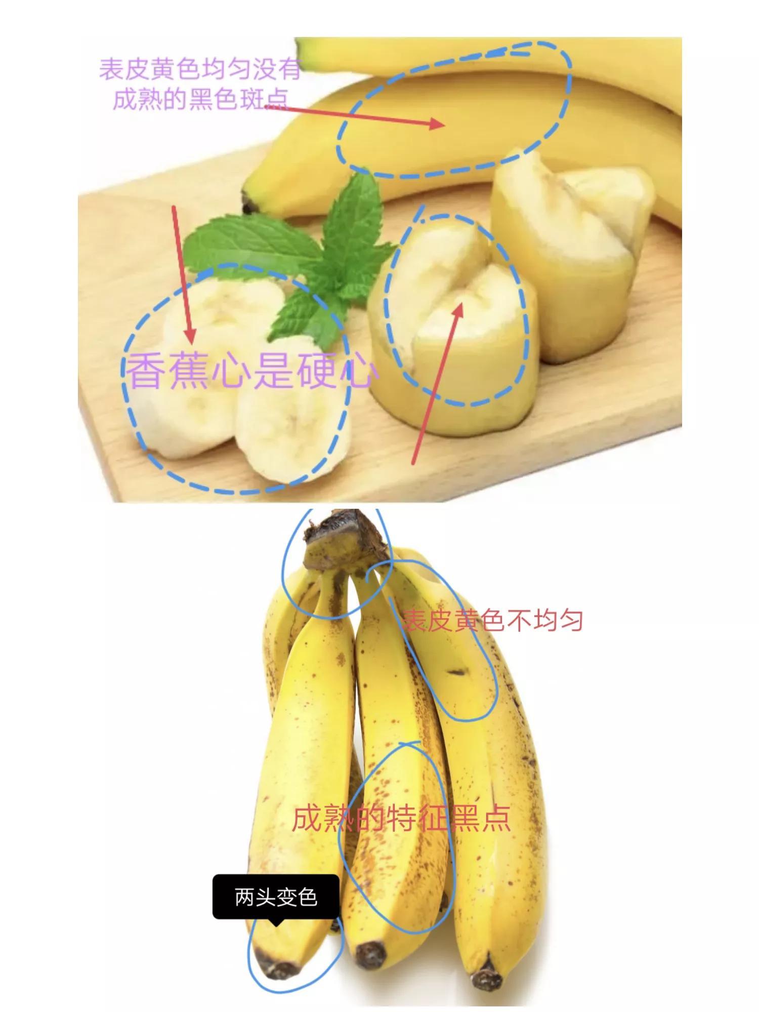 禁止化学武器组织名词解释,禁止化学武器组织名词解释简介