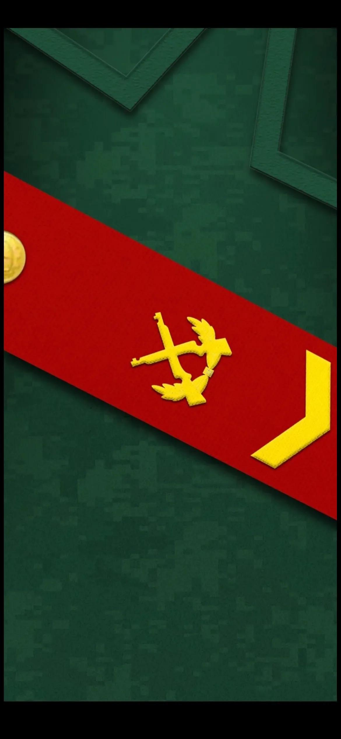 中国现行军衔等级及标识,中国现行军衔等级及标识详解