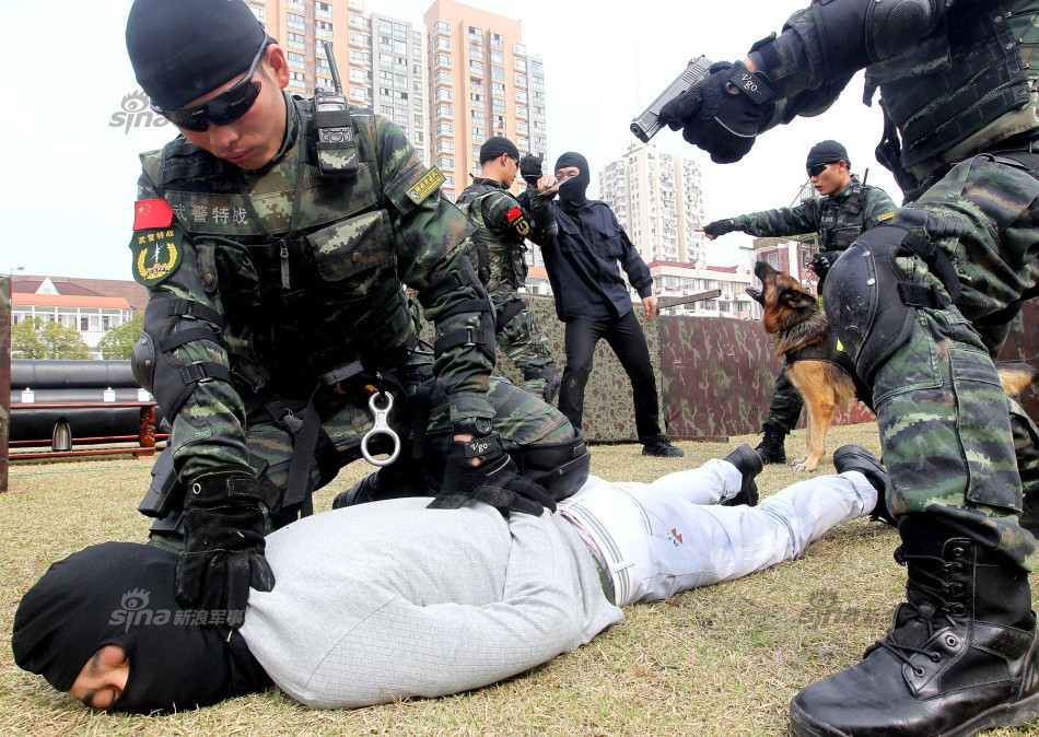 中国人民解放军陆军作战服装,历史演变与现代发展,中国人民解放军陆军作战服装,历史演变与现代进展