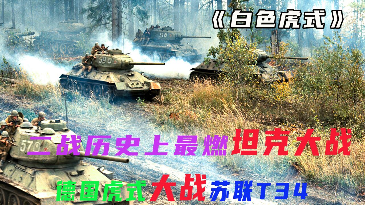 揭秘白色幽灵虎式坦克,真实存在还是虚构传奇?,揭秘白色幽灵虎式坦克,真实存在还是虚构神话?