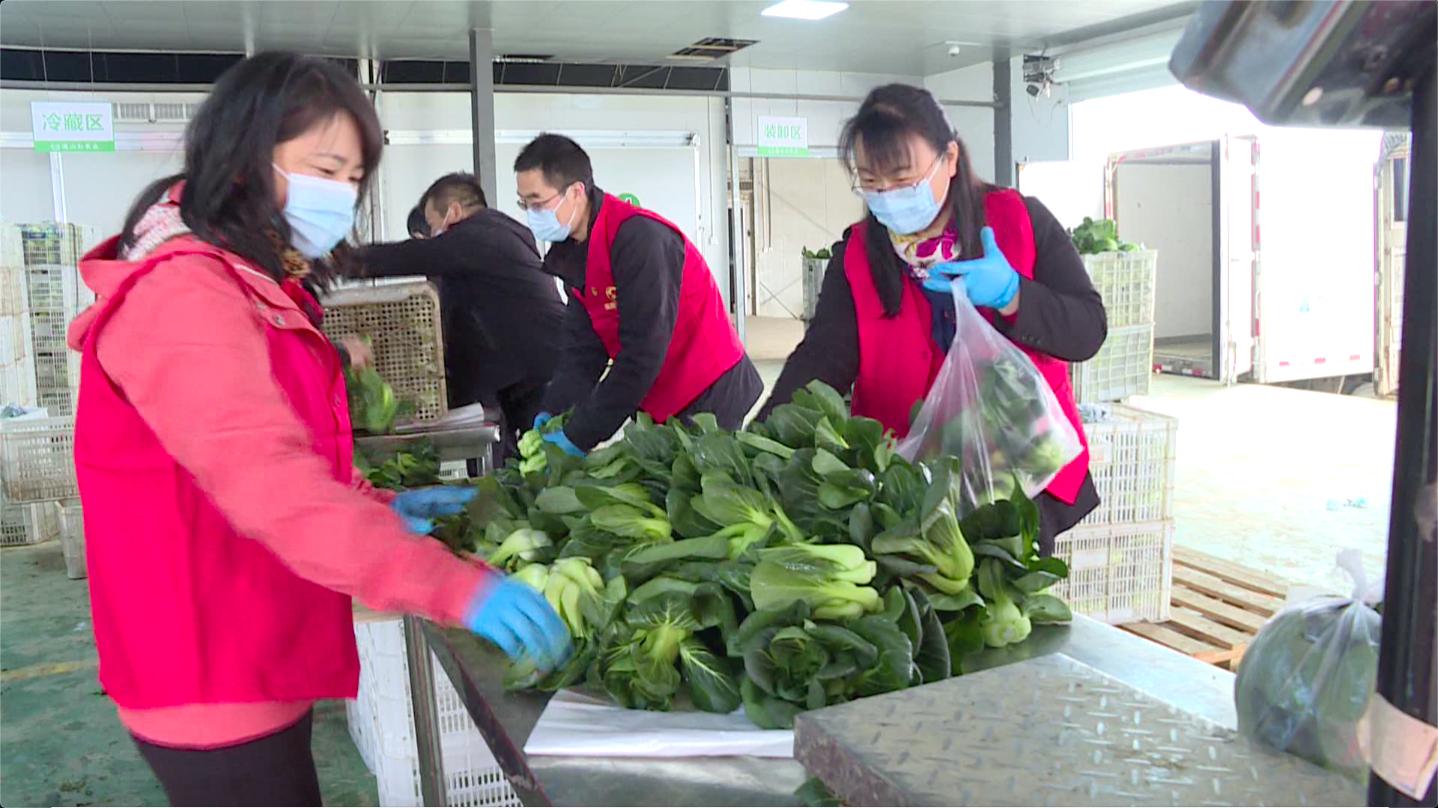 战略支援部队前身是什么单位,历史沿革与转型之路,战略支援部队的历史沿革与转型之路,前身揭秘