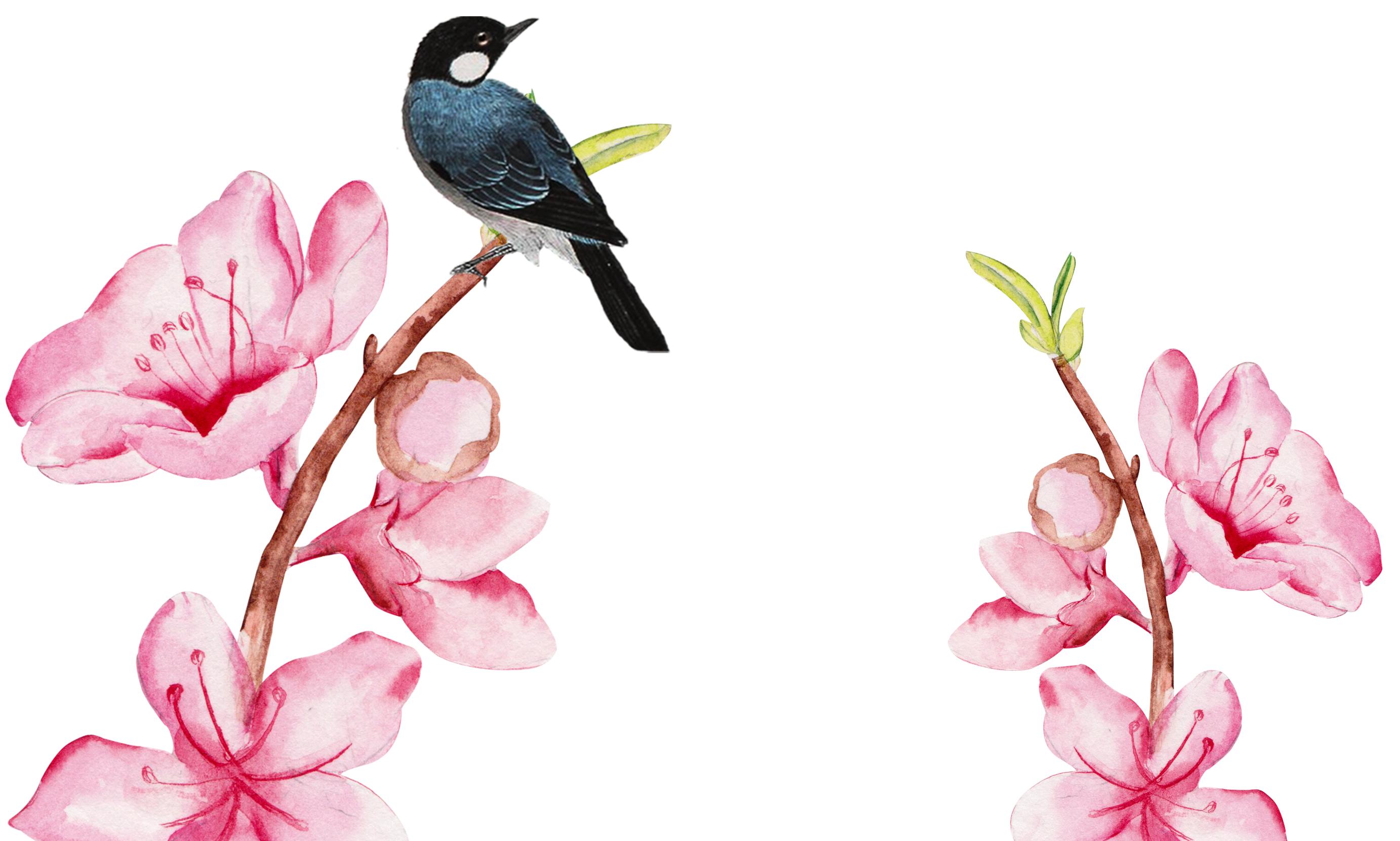 2025全年资料免费大全优势生肖深度解析,2025全年资料免费大全,深度解析优势生肖