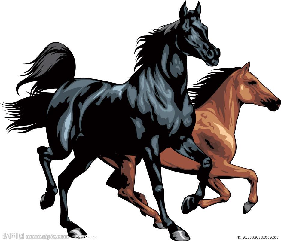 2025全年资料免费大全优势生肖深度解析,2025全年资料免费大全,深度解析优势生肖