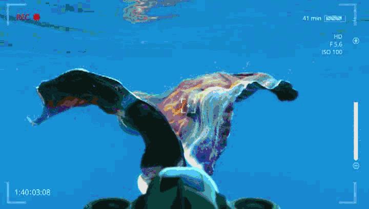 怎么知道天上有无人机,揭秘,如何判断天上有无人机?