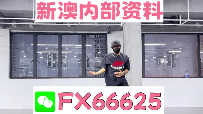 澳门管家婆，探索与解析，澳门管家婆，深度探索与解析