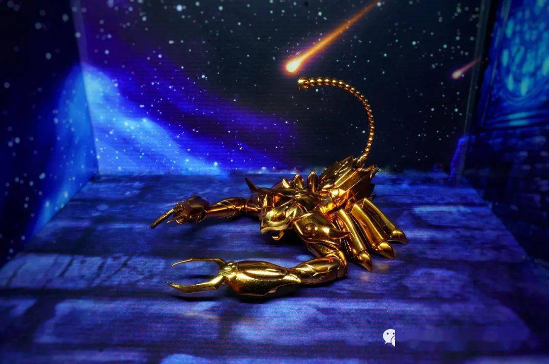 王中王171期指一生肖——探寻背后的文化魅力与生肖奥秘,探寻生肖文化魅力与奥秘,王中王171期指一生肖揭秘