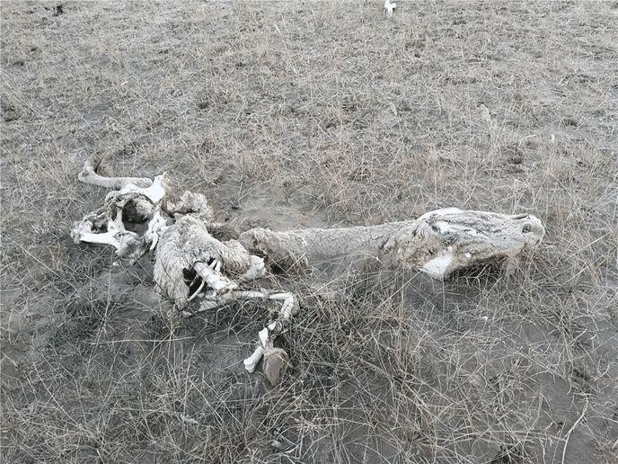 全球十大最强无人机,技术革新与未来展望,全球十大最强无人机,技术革新及未来展望展望