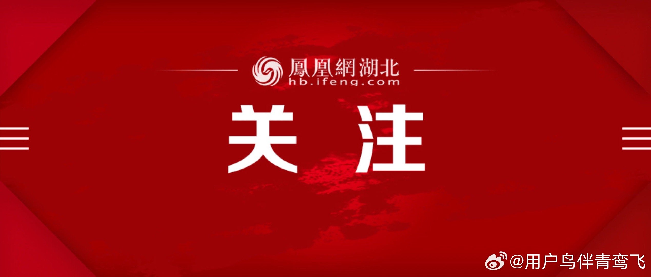 凤凰网新闻最新版,革新用户体验,重塑新闻生态,凤凰网新闻最新版重塑新闻生态,革新用户体验