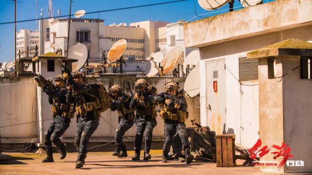 蛟龙突击队,撤侨营救的英勇壮举,蛟龙突击队撤侨营救壮举,英勇无畏的救援行动