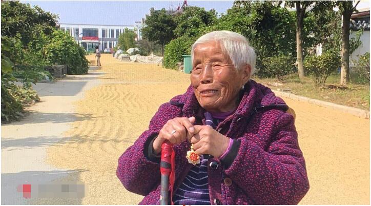 志愿军唱的歌，时代的旋律，精神的旗帜，志愿军歌曲，时代旋律与精神的旗帜