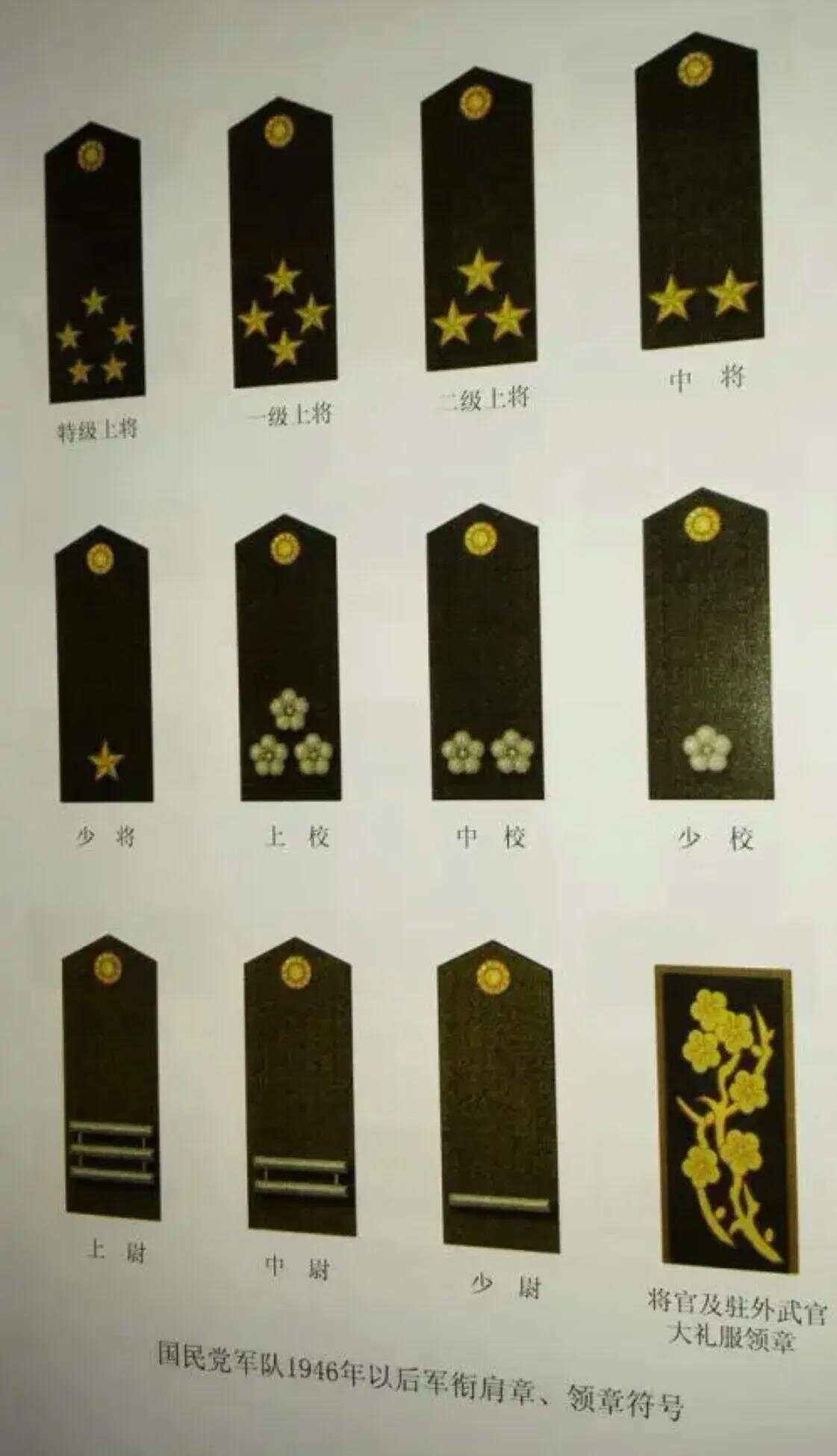 中国一级上将军衔,荣耀与责任,中国一级上将军衔,荣耀与重任的承载者