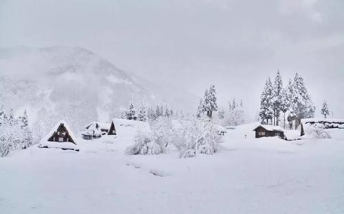 今天大雪,今日大雪纷飞的日子