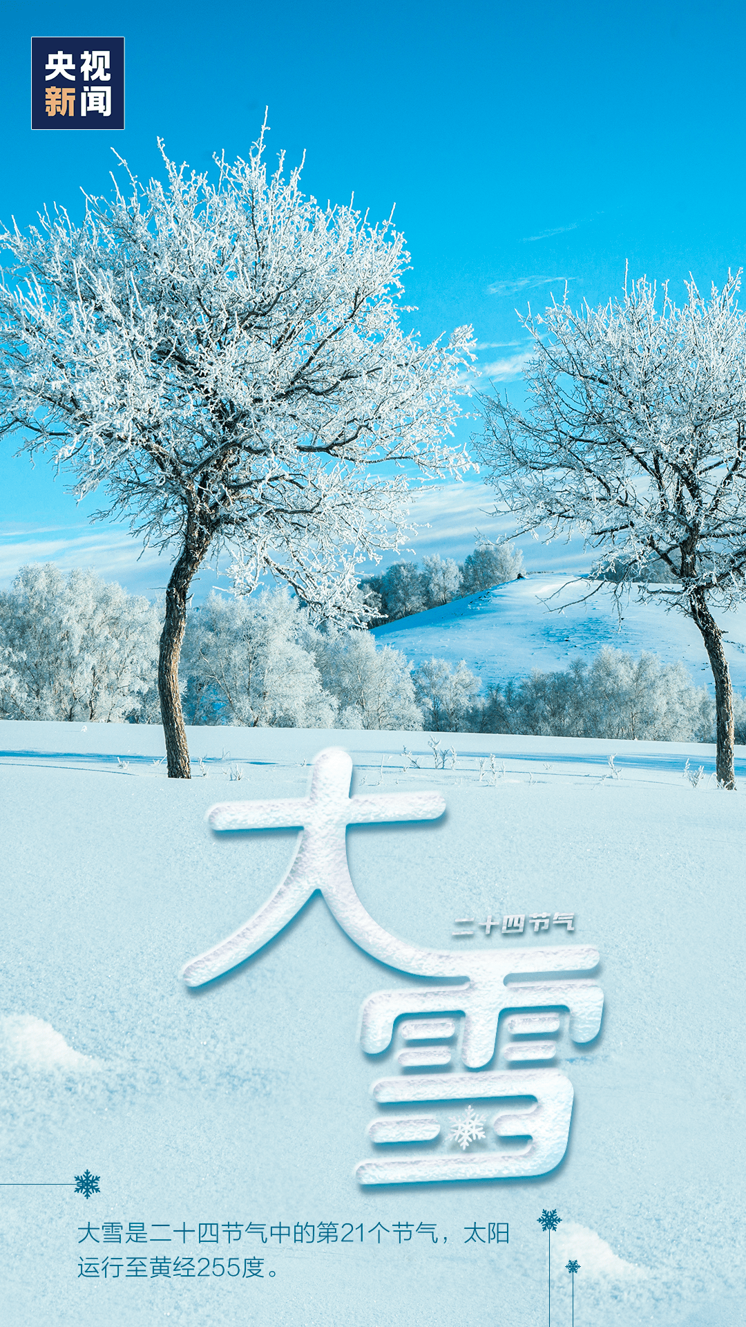 今天大雪,今日大雪纷飞的日子