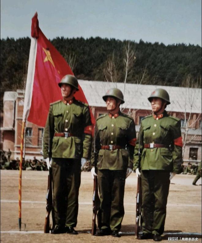 关于八五裁军部队的研究分析，八五裁军部队的深度研究与分析