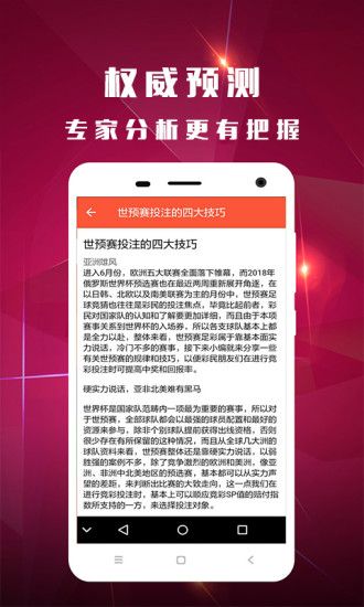 一肖中码的魅力与探索，一肖中码的魅力揭秘与深度探索