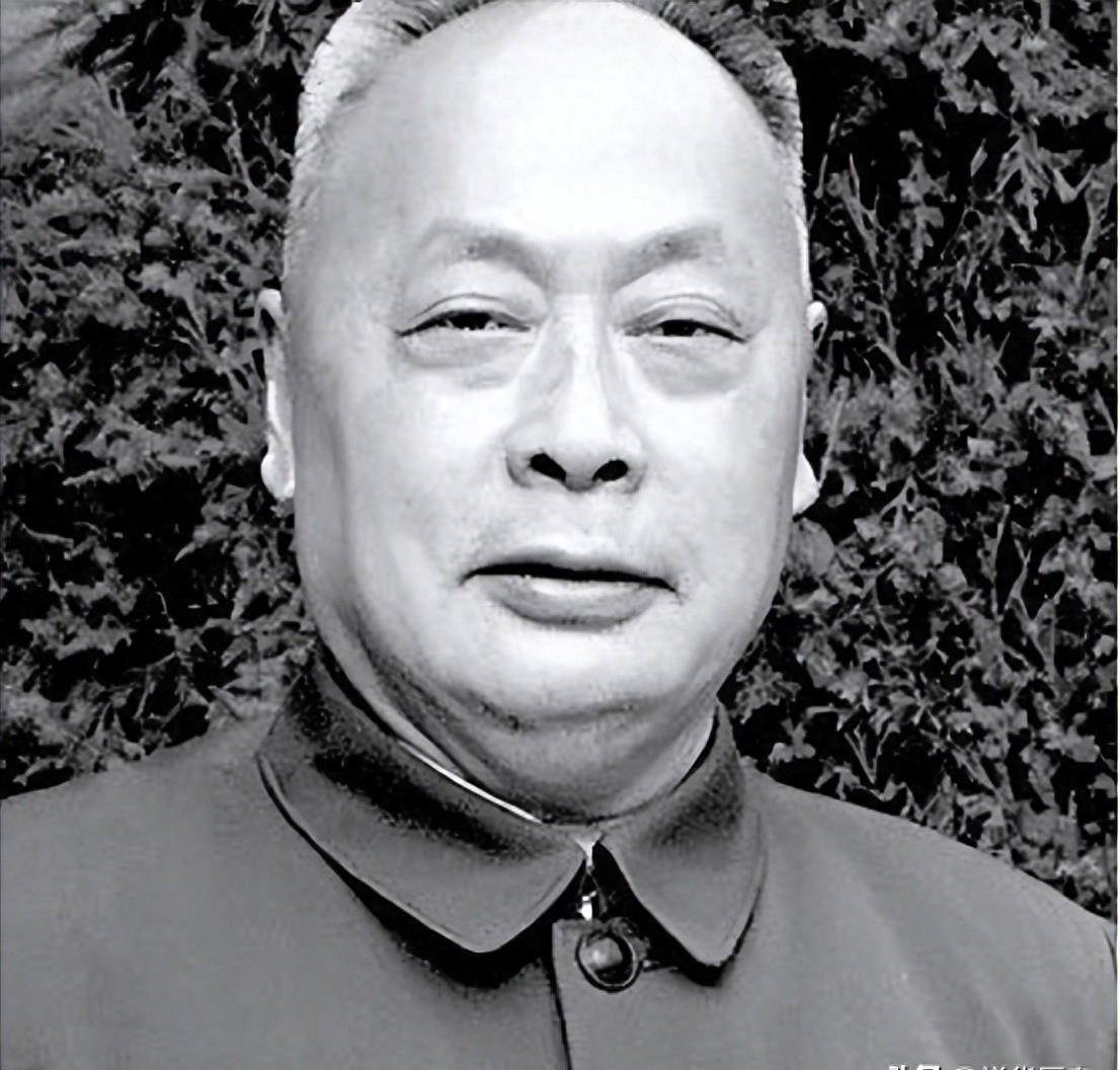 西部战区最新军报消息深度解析,西部战区最新军报消息深度解读