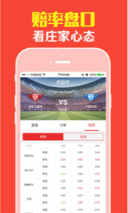 王中王平特肖一肖，探寻背后的故事与意义，王中王平特肖一肖，背后的故事与深层含义探索
