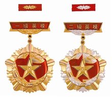 解放军新式勋章大全，荣誉的象征，时代的印记，解放军新式勋章大全，荣誉与时代的象征