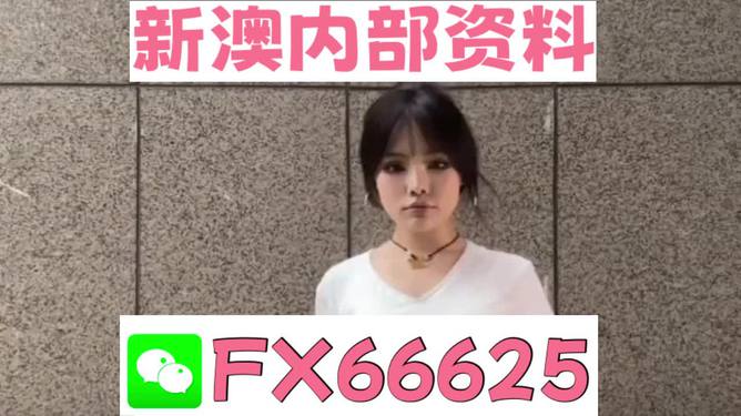 澳门资料大全正版资讯，深度探索澳门的文化与历史，澳门文化与历史深度探索，正版资讯资料大全